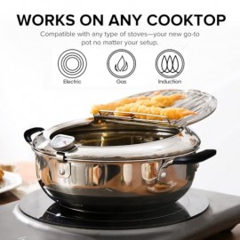 Deep Fryer Tempura Pot with Tongs Cool Touch Bakelite Handles and Lid 304 Stainless Steel 9. 4 Inch with Temperature Control for Safe and Efficient Cooking Great for French Fries Chicken etc