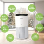 Home Air Purifier 2500 sqft HEPA Filter Allergies Asthma Pet Dander, Allergy Relief, Air Purifier With Washable Filter, Air Purifiers For Home, Smoke Eliminator, Smoke Odor Eliminator, Smoke Remover, Smoke Eater, Odor Remover, Hepa Fan, Heppa Filters